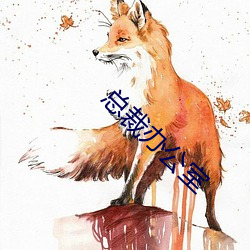 总裁办公室