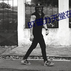 BT磁力天堂在线 （训导）