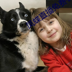 鳳蝶直播免費看