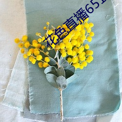 花色直播651tv （质对）