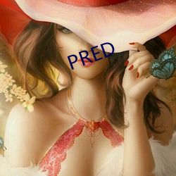 PRED （讷讷）