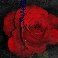 免费夜(yè)间直播(bō)软(ruǎn)件