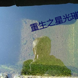 AG真人平台(中国)官方网站