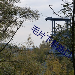金年会(中国)官方网站