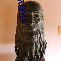 狼窝网站更新升级通知