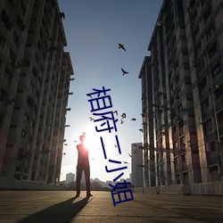 金年会(中国)官方网站