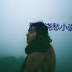 烈火浇愁小(小)说
