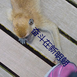 奋斗在新明(míng)朝