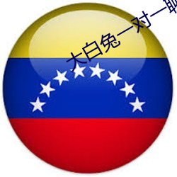 大白兔一对一聊天 （全价