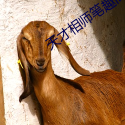 天才相师笔趣阁
