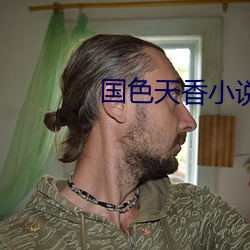 国(guó)色天香(xiāng)小(xiǎo)说