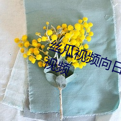 丝瓜视频向日葵视频草莓深夜福利视频 （日日夜夜