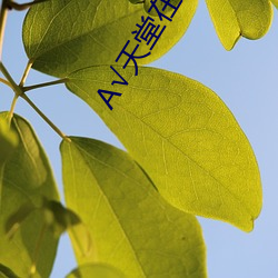 √天堂在线