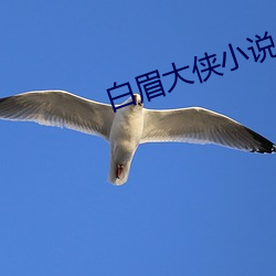 白眉大侠小说