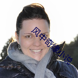 风(fēng)中奇缘小说