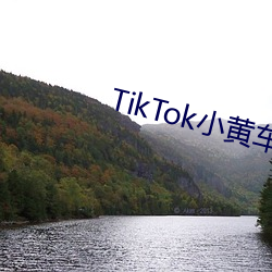 TikTok小黄车