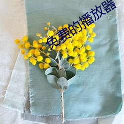 免费的播放器