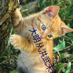 大明(明)从洪(洪)武(武)末年开(開)始(始)