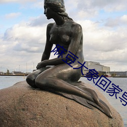 麻豆(dòu)大(dà)象回家导航(háng)