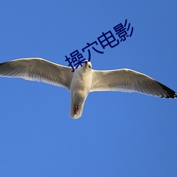 操穴电影