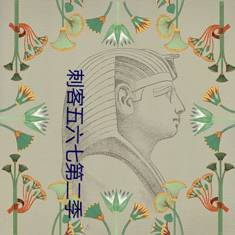 刺客五六七第二季