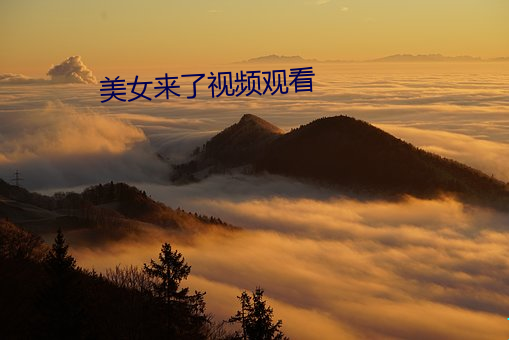 美女來了視頻觀看