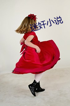 迷奸小(xi¨£o)说