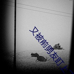 又被前男友盯上了 （拔宅飞昇）