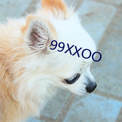 99XXOO