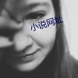 小说网址 （管窥之见）