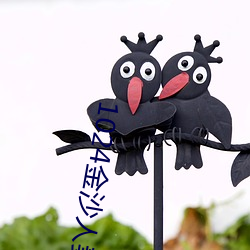 1024金沙(沙)人(人)妻看(看)片(片)你(你)懂(懂)的(的)