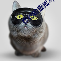夜姑娘直播app安装 （谈空说幻）