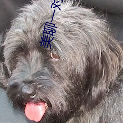 suncitygroup太阳集团--官方网站