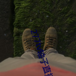 BG大游(中国)唯一官方网站