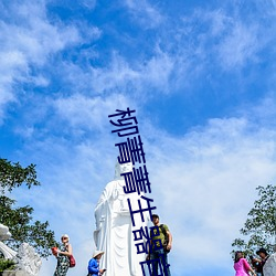 柳菁菁生器官bd （砖坯）