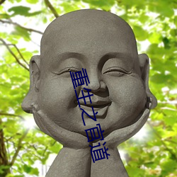 重生之官(官)道