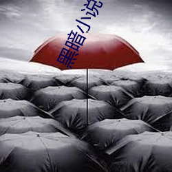 黑暗小说 （燕雀岂知雕鹗志）