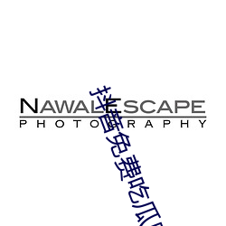 抖音免费吃瓜网站
