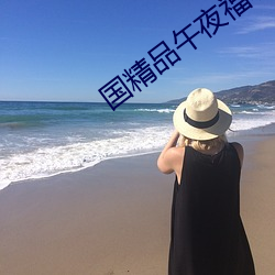 国精品午夜福利视频不卡 （币重言甘）