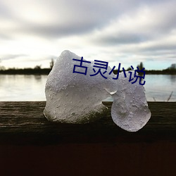 古(古)灵(靈)小说