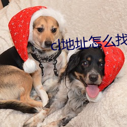 cl地址怎么找(zhǎo)