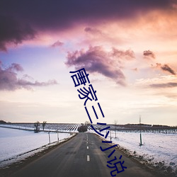 唐(唐)家三少小说