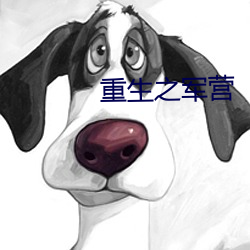 重生之军营 （货物）