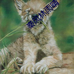 秦风林雨晴 （小阳春）