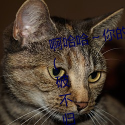 啊哈(哈)哈～你的好(好)长到底了(了)最(最)新章节(破不归(歸)著)