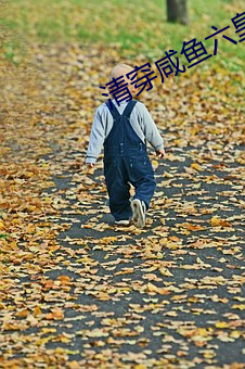 米乐M6·(中国)官方网站
