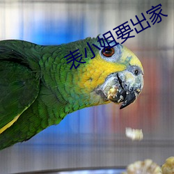 表(biǎo)小姐(jiě)要出家