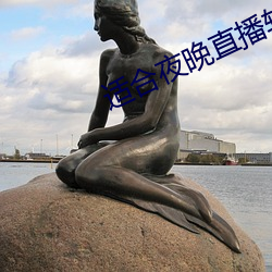 适合夜晚直播软件