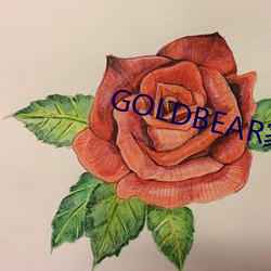 GOLDBEAR 