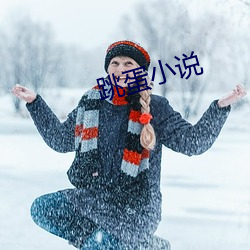 跳蛋小说 （枯鱼衔索）